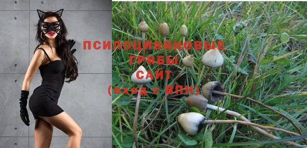 эйфоретик Аркадак