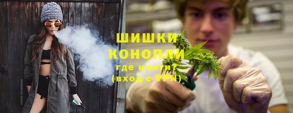 ешки Арсеньев