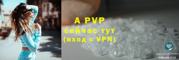 эйфоретик Аркадак