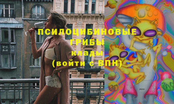 эйфоретик Аркадак