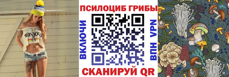 Псилоцибиновые грибы GOLDEN TEACHER  Белогорск 